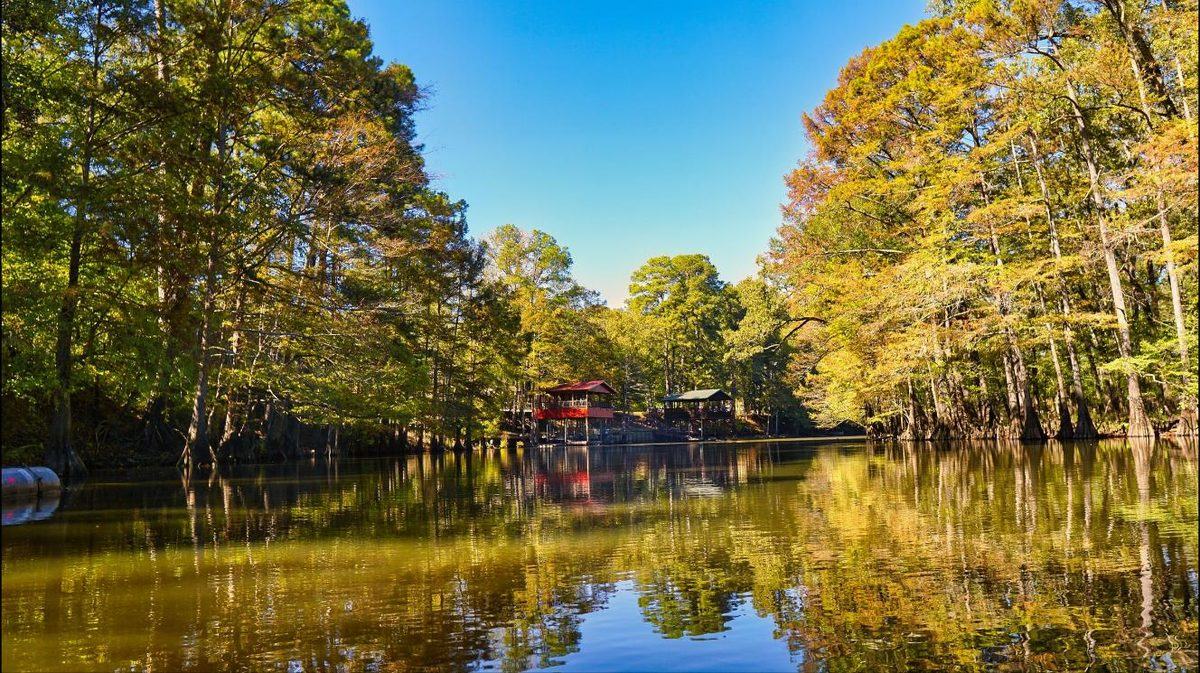 Still lake lined with tall cypress and pine trees turning colour, with a boathouse on the far bank